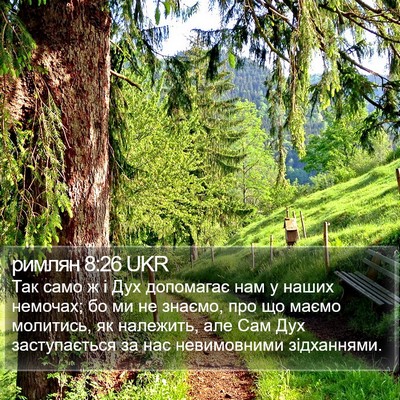 римлян 8:26 UKR Bible Verse Image