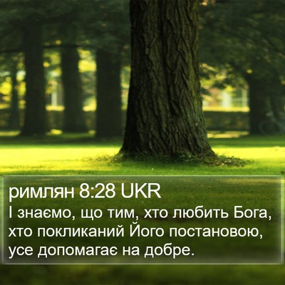 римлян 8:28 UKR Bible Verse Image