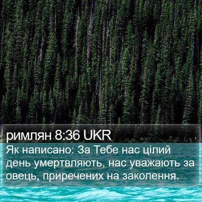 римлян 8:36 UKR Bible Verse Image