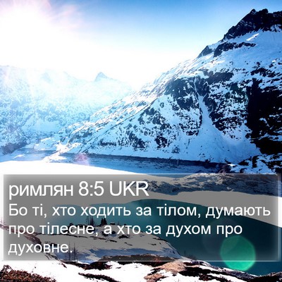 римлян 8:5 UKR Bible Verse Image