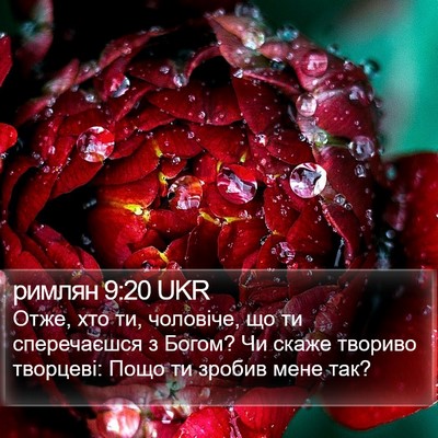 римлян 9:20 UKR Bible Verse Image