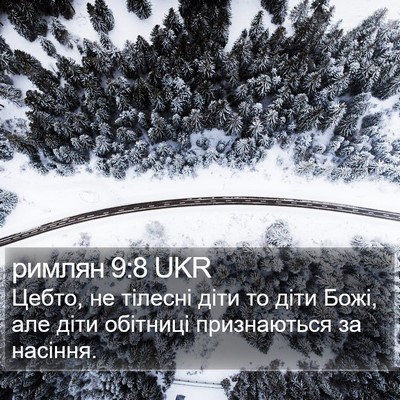 римлян 9:8 UKR Bible Verse Image