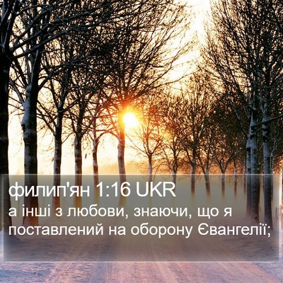 филип'ян 1:16 UKR Bible Verse Image