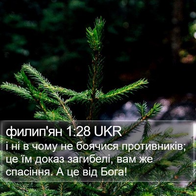 филип'ян 1:28 UKR Bible Verse Image