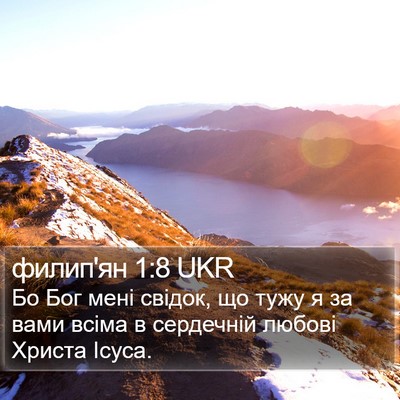 филип'ян 1:8 UKR Bible Verse Image
