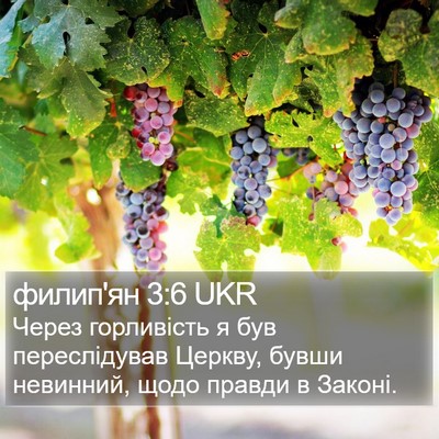 филип'ян 3:6 UKR Bible Verse Image