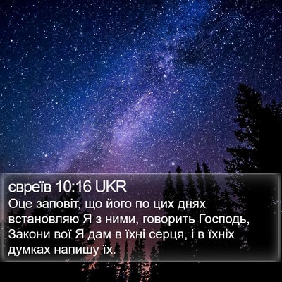 євреїв 10:16 UKR Bible Verse Image