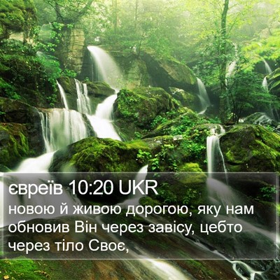 євреїв 10:20 UKR Bible Verse Image