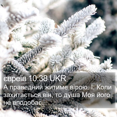 євреїв 10:38 UKR Bible Verse Image