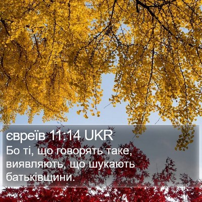 євреїв 11:14 UKR Bible Verse Image
