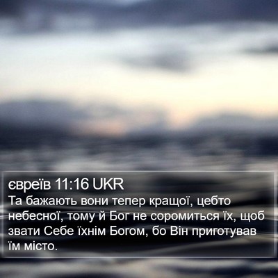 євреїв 11:16 UKR Bible Verse Image