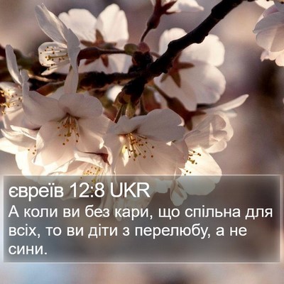 євреїв 12:8 UKR Bible Verse Image