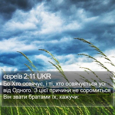 євреїв 2:11 UKR Bible Verse Image