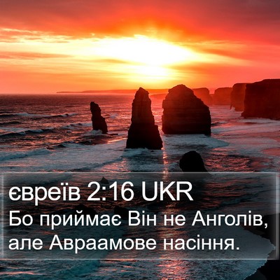 євреїв 2:16 UKR Bible Verse Image