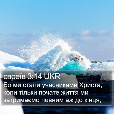 євреїв 3:14 UKR Bible Verse Image