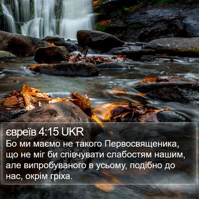 євреїв 4:15 UKR Bible Verse Image