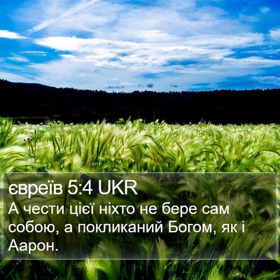 євреїв 5:4 UKR Bible Verse Image