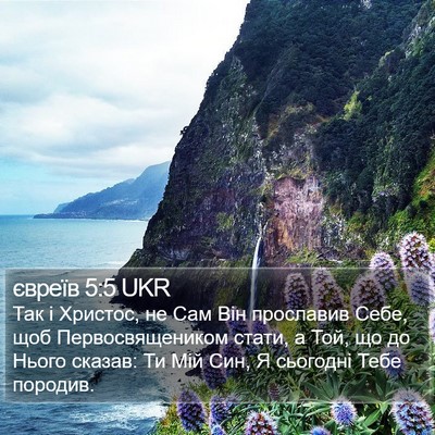 євреїв 5:5 UKR Bible Verse Image