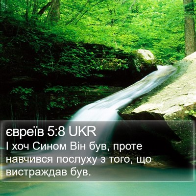 євреїв 5:8 UKR Bible Verse Image