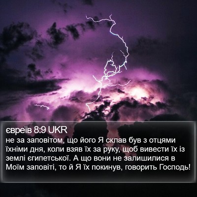 євреїв 8:9 UKR Bible Verse Image