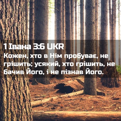 Picture 02 - 1 Івана 3:6 UKR - Кожен, хто в Нім пробуває, - Bible Verse Picture