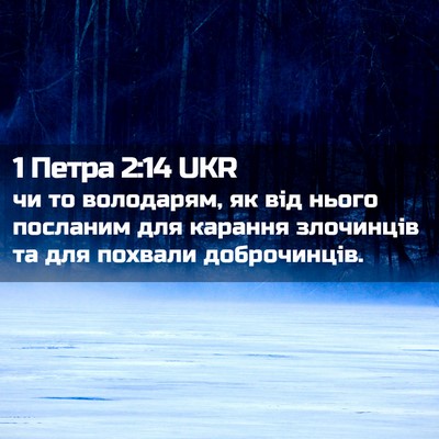 Picture 02 - 1 Петра 2:14 UKR - чи то володарям, як від - Bible Verse Picture