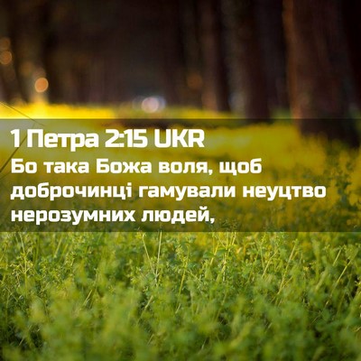 Picture 02 - 1 Петра 2:15 UKR - Бо така Божа воля, щоб - Bible Verse Picture