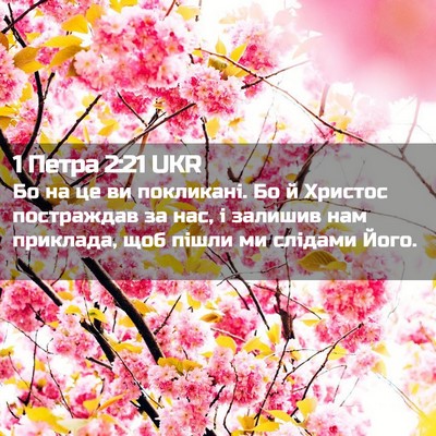 Picture 02 - 1 Петра 2:21 UKR - Бо на це ви покликані. Бо й - Bible Verse Picture