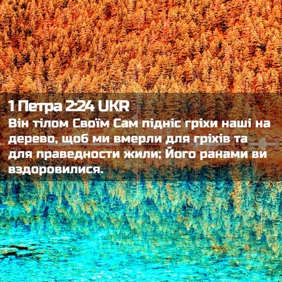 Picture 02 - 1 Петра 2:24 UKR - Він тілом Своїм Сам підніс - Bible Verse Picture