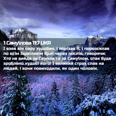 Picture 02 - 1 Самуїлова 11:7 UKR - І взяв він пару худобин, і - Bible Verse Picture