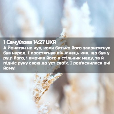 Picture 02 - 1 Самуїлова 14:27 UKR - А Йонатан не чув, коли - Bible Verse Picture