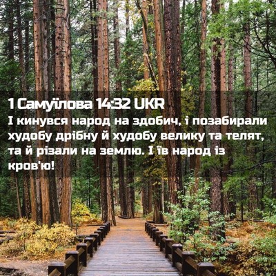 Picture 02 - 1 Самуїлова 14:32 UKR - І кинувся народ на здобич, - Bible Verse Picture