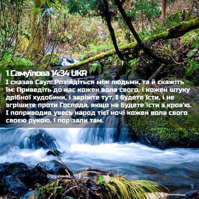 Picture 02 - 1 Самуїлова 14:34 UKR - І сказав Саул: Розійдіться - Bible Verse Picture