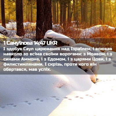 Picture 02 - 1 Самуїлова 14:47 UKR - І здобув Саул царювання - Bible Verse Picture