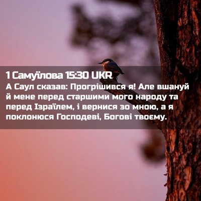 Picture 02 - 1 Самуїлова 15:30 UKR - А Саул сказав: Прогрішився - Bible Verse Picture