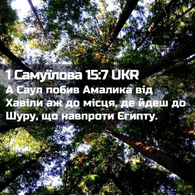 Picture 02 - 1 Самуїлова 15:7 UKR - А Саул побив Амалика від - Bible Verse Picture