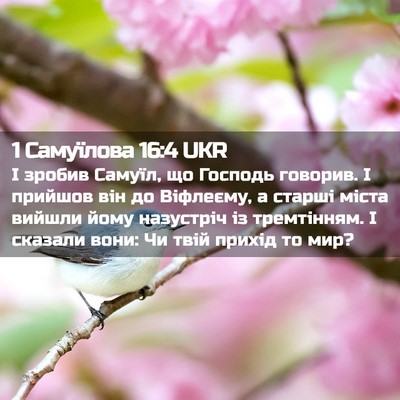 Picture 02 - 1 Самуїлова 16:4 UKR - І зробив Самуїл, що Господь - Bible Verse Picture