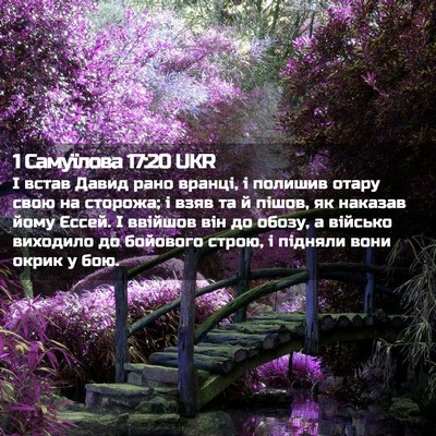 Picture 02 - 1 Самуїлова 17:20 UKR - І встав Давид рано вранці, - Bible Verse Picture