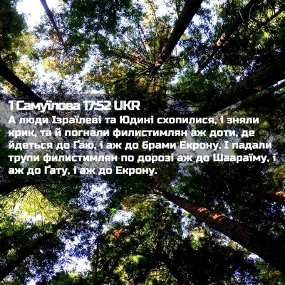 Picture 02 - 1 Самуїлова 17:52 UKR - А люди Ізраїлеві та Юдині - Bible Verse Picture