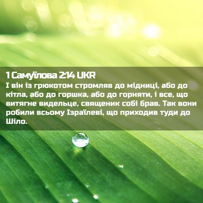 Picture 02 - 1 Самуїлова 2:14 UKR - І він із грюкотом стромляв - Bible Verse Picture