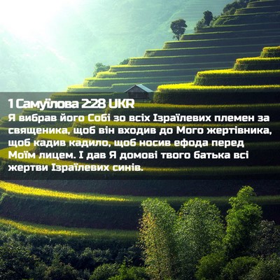 Picture 02 - 1 Самуїлова 2:28 UKR - Я вибрав його Собі зо всіх - Bible Verse Picture