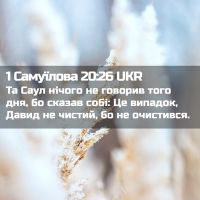 Picture 02 - 1 Самуїлова 20:26 UKR - Та Саул нічого не говорив - Bible Verse Picture