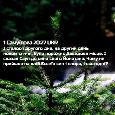 Picture 02 - 1 Самуїлова 20:27 UKR - І сталося другого дня, на - Bible Verse Picture