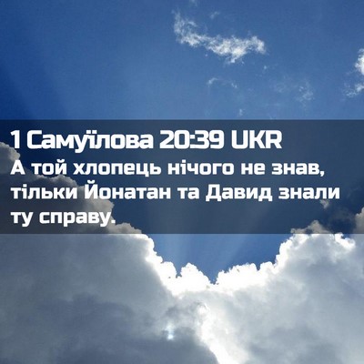 Picture 02 - 1 Самуїлова 20:39 UKR - А той хлопець нічого не - Bible Verse Picture