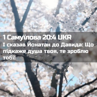 Picture 02 - 1 Самуїлова 20:4 UKR - І сказав Йонатан до Давида: - Bible Verse Picture