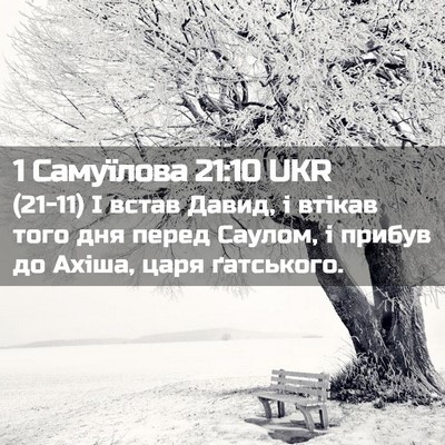 Picture 02 - 1 Самуїлова 21:10 UKR - (21-11) І встав Давид, і втікав - Bible Verse Picture