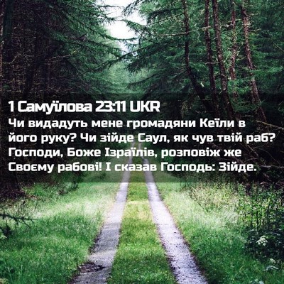 Picture 02 - 1 Самуїлова 23:11 UKR - Чи видадуть мене громадяни - Bible Verse Picture