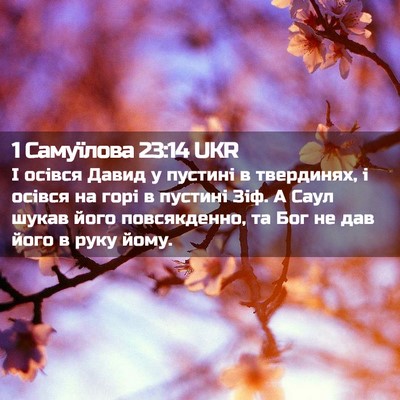 Picture 02 - 1 Самуїлова 23:14 UKR - І осівся Давид у пустині в - Bible Verse Picture