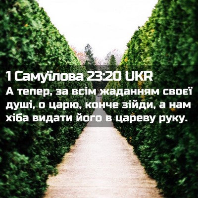 Picture 02 - 1 Самуїлова 23:20 UKR - А тепер, за всім жаданням - Bible Verse Picture