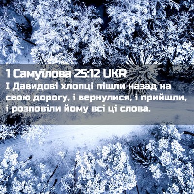 Picture 02 - 1 Самуїлова 25:12 UKR - І Давидові хлопці пішли - Bible Verse Picture